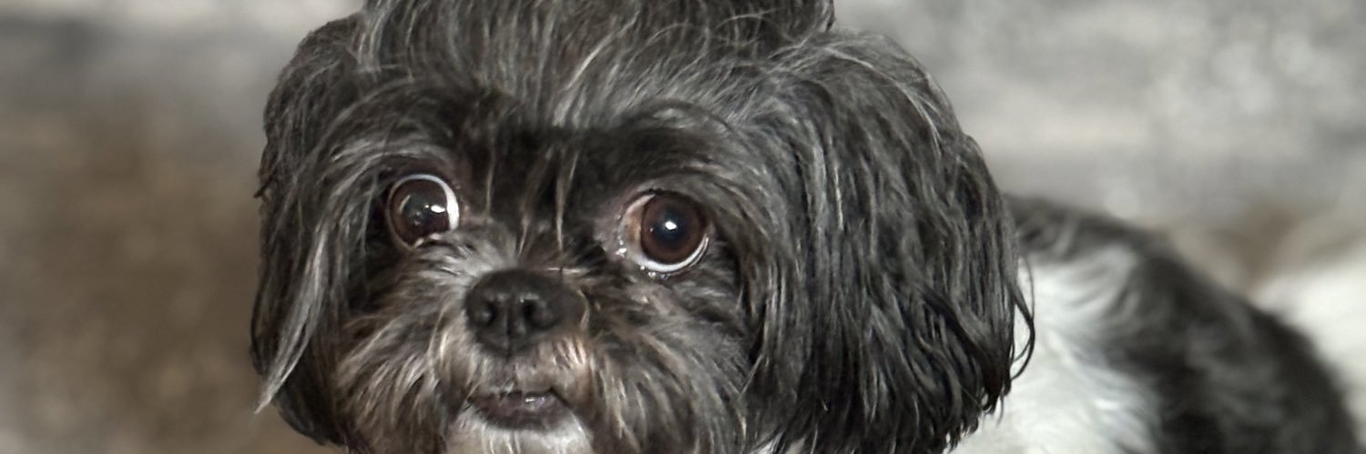 GoofTheDon's profile banner image