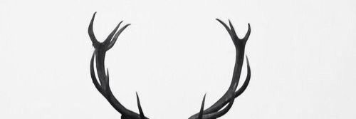 JanePanchenko's profile banner image