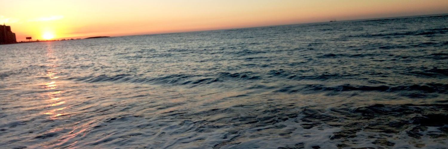 reemgaberr's profile banner image