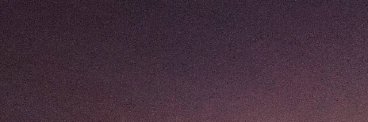 oolipapinii's profile banner image