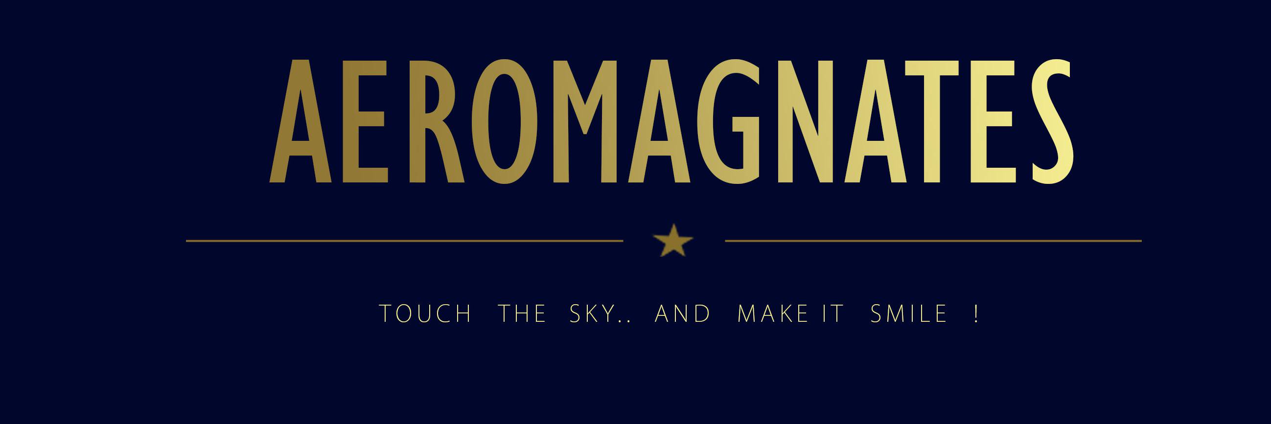 aeromagnates's profile banner image