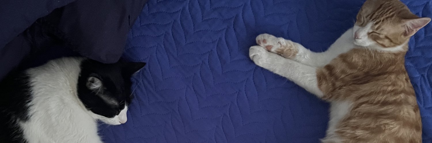 Conoland_'s profile banner image