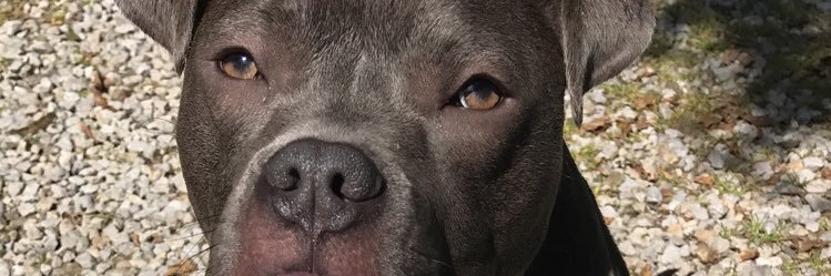 Tiny_mex's profile banner image