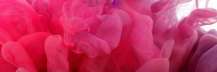 Lizbeth banner