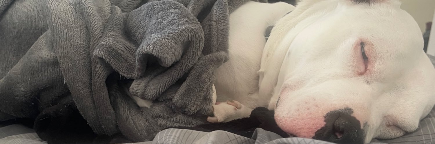 Prince Walker banner