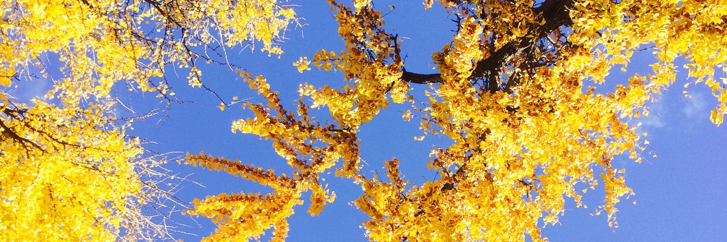 polyestherism's profile banner image