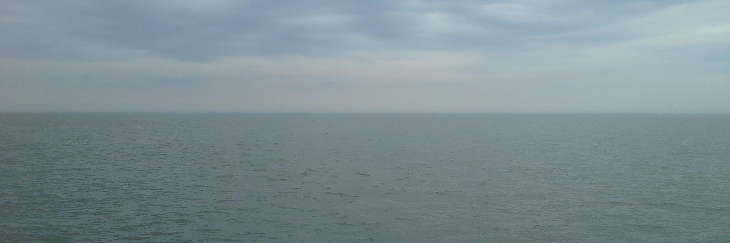 txanec's profile banner image