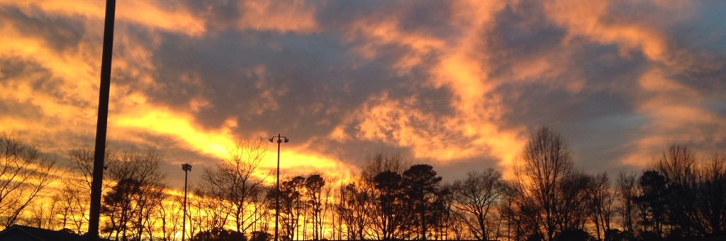 tiaschmidt00's profile banner image