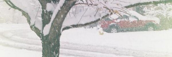 GenetraT Profile Banner