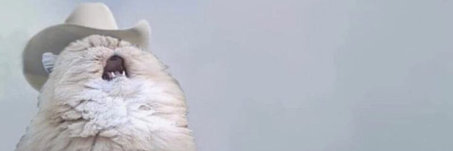 @Krissycoz banner