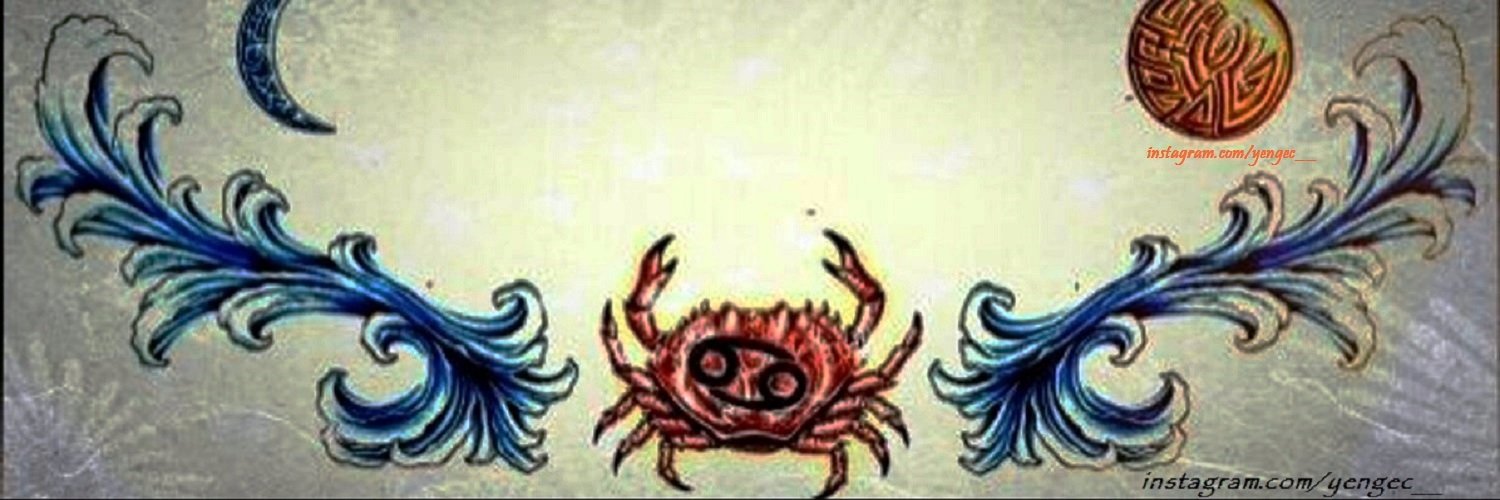 Yengec__'s profile banner image