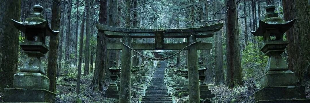 MorgottGoodGuy banner