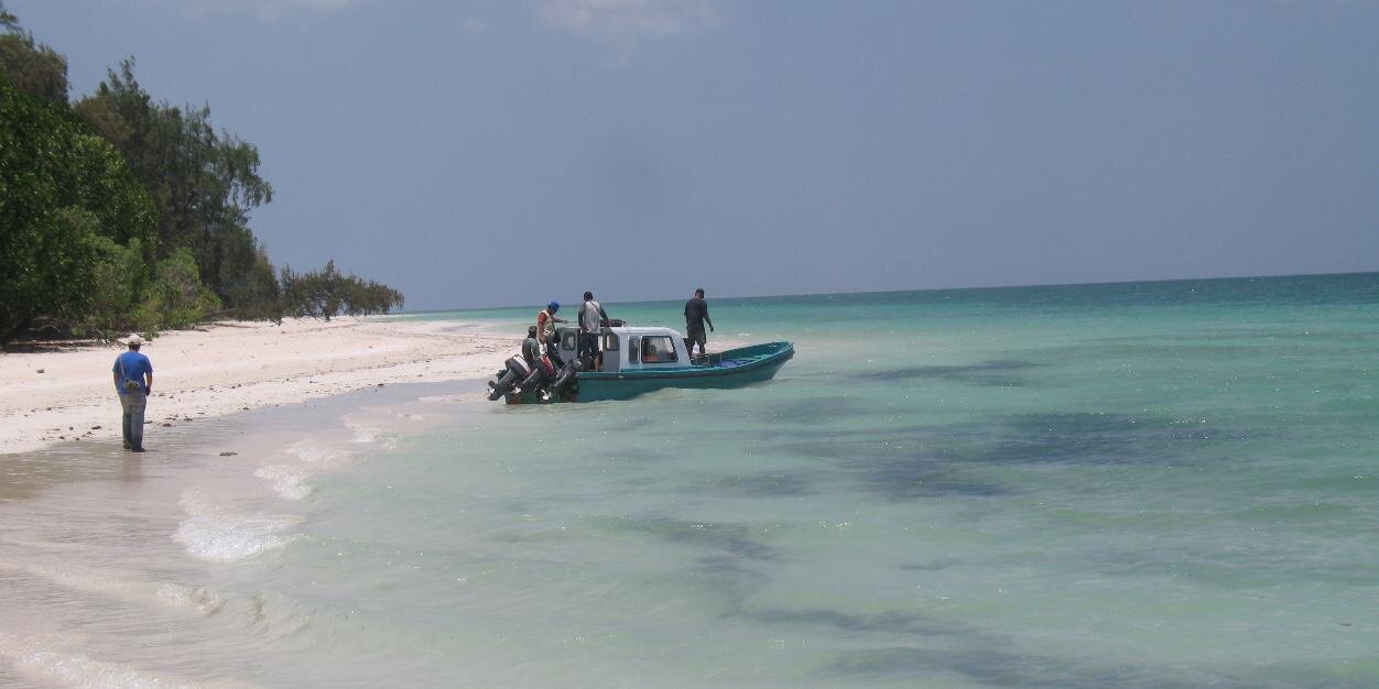 Bagir Aljufri banner