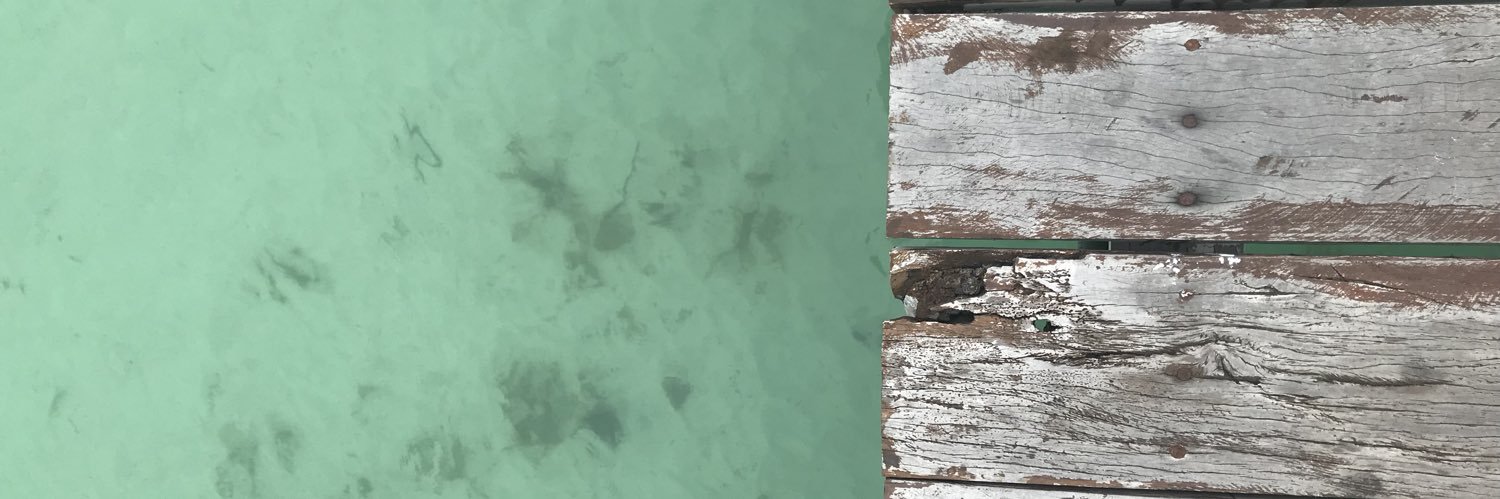 cann_ar's profile banner image