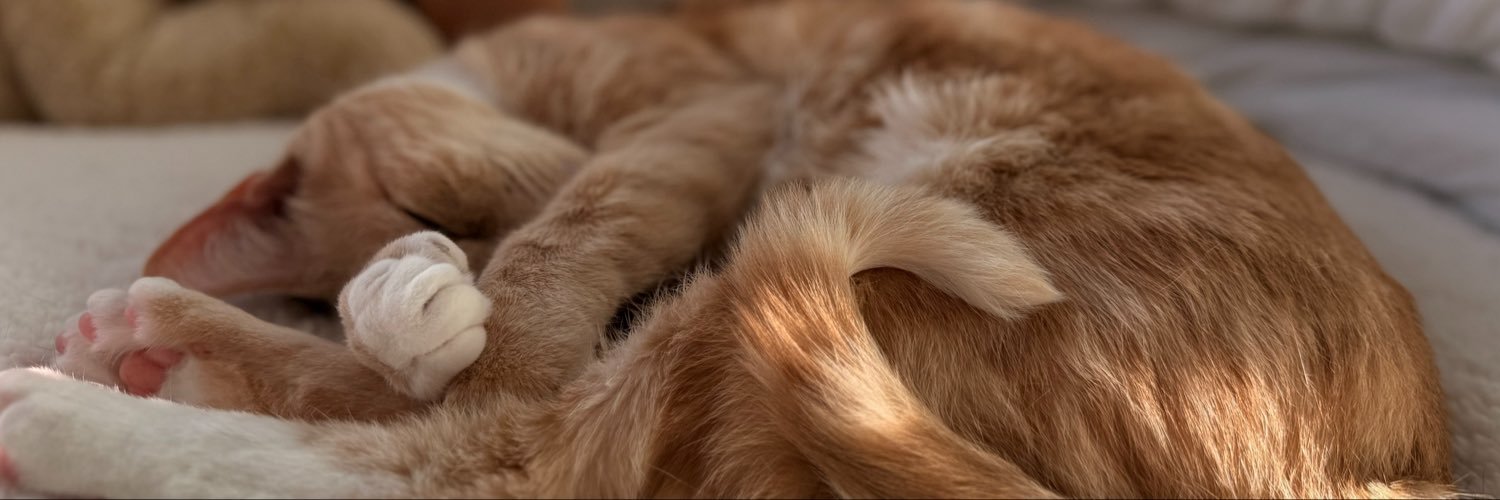 SuicIrene's profile banner image
