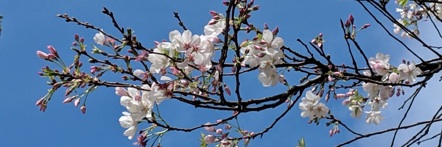 Katherine Chauca (Taylor’s Version) banner