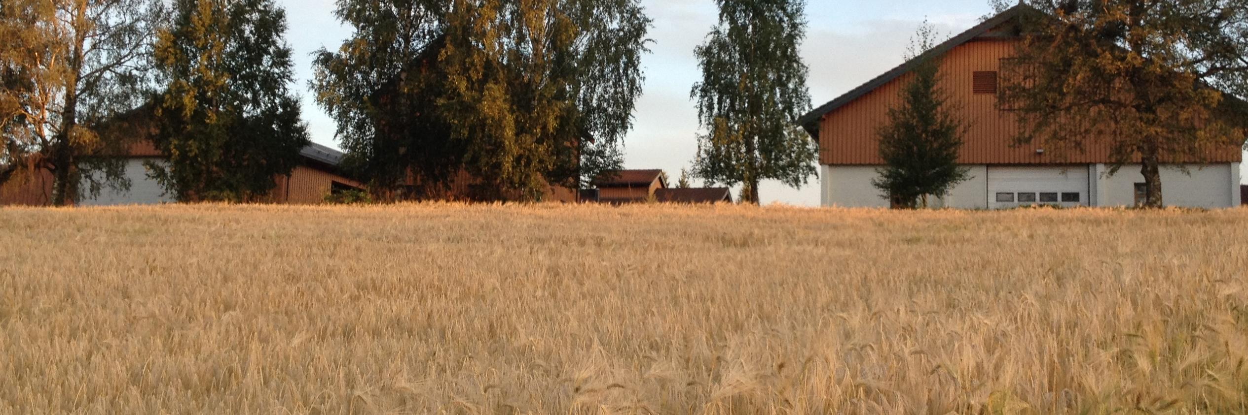 vnestvold's profile banner image