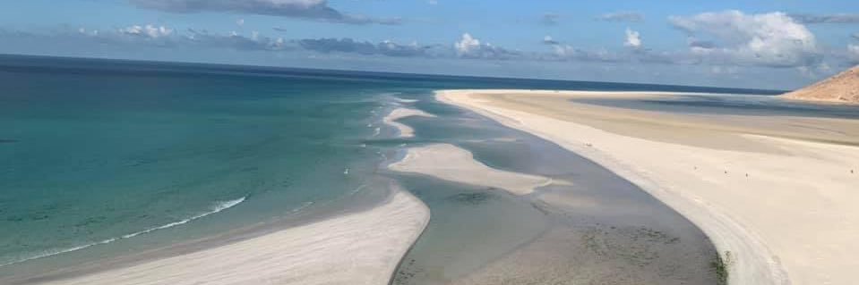 Małgorzata Rabenda banner