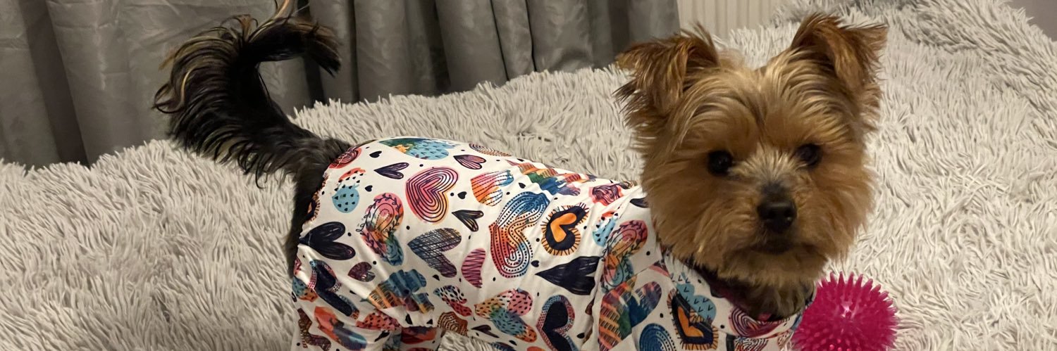 🧡 Princess Fiona MS 🧡 banner