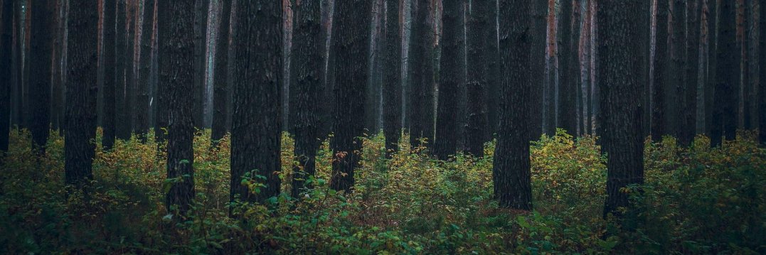 熊兔 填鸭版 banner