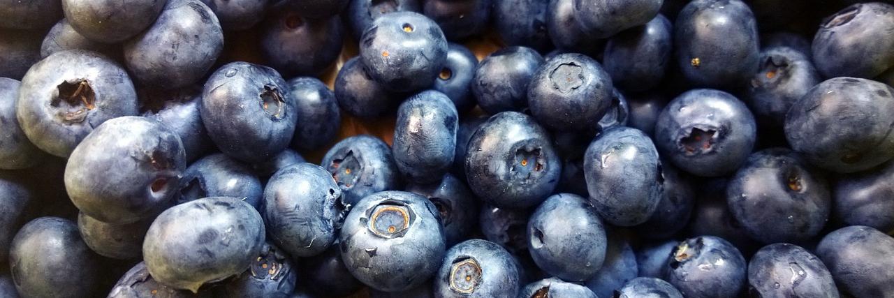 jesswrightfit's profile banner image