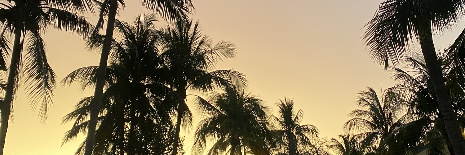 MausarMolly's profile banner image