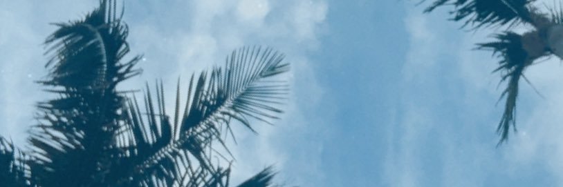 Erica Shea ❤️‍🔥 banner
