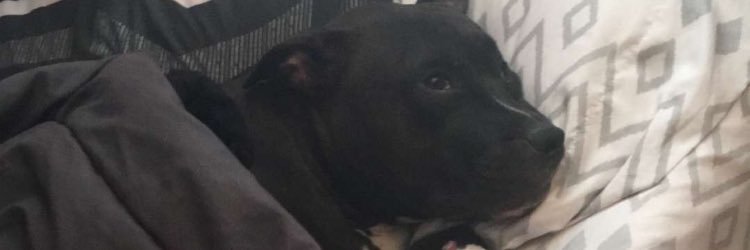 SecureMasGod's profile banner image