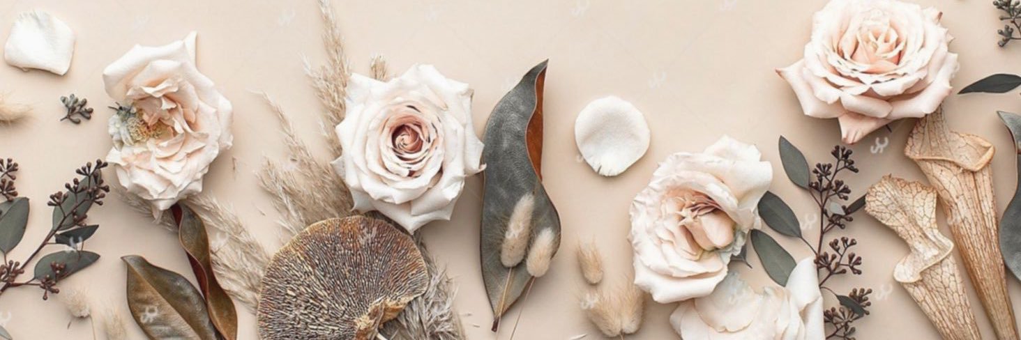 ms__evy's profile banner image