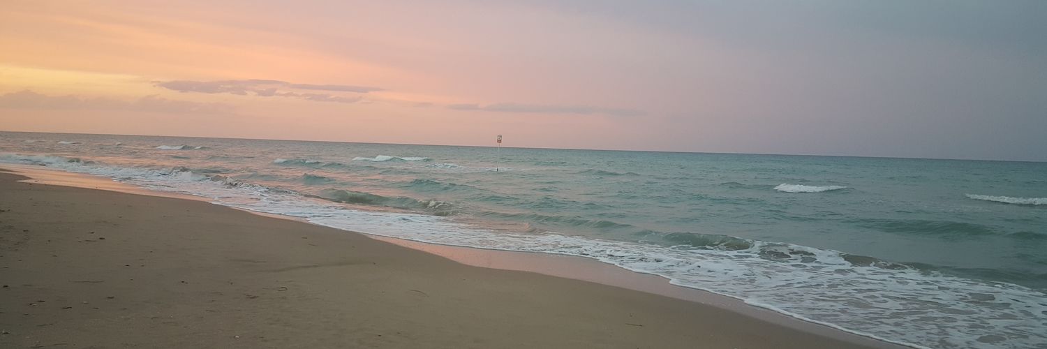 BersaniLeda's profile banner image