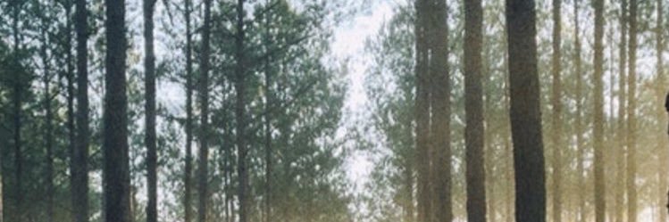 Milson_______'s profile banner image