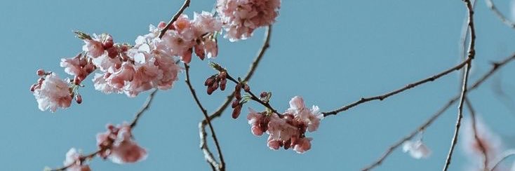 loredane_bret's profile banner image