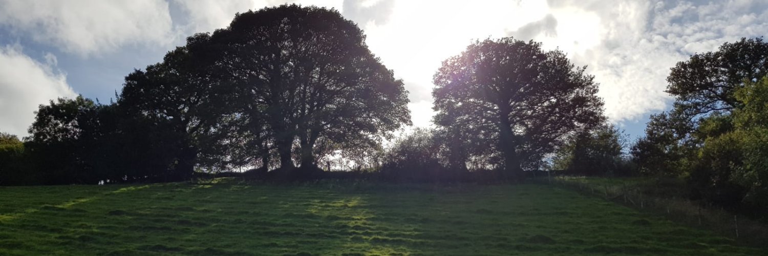 Christopher Nunn banner