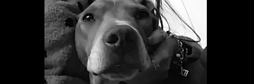 LuchyCalvoo's profile banner image