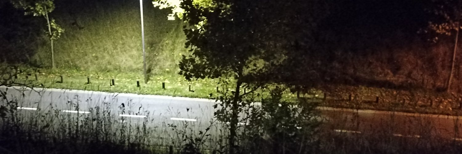 theyosalt's profile banner image