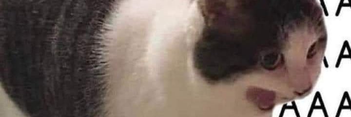 Tossssan's profile banner image