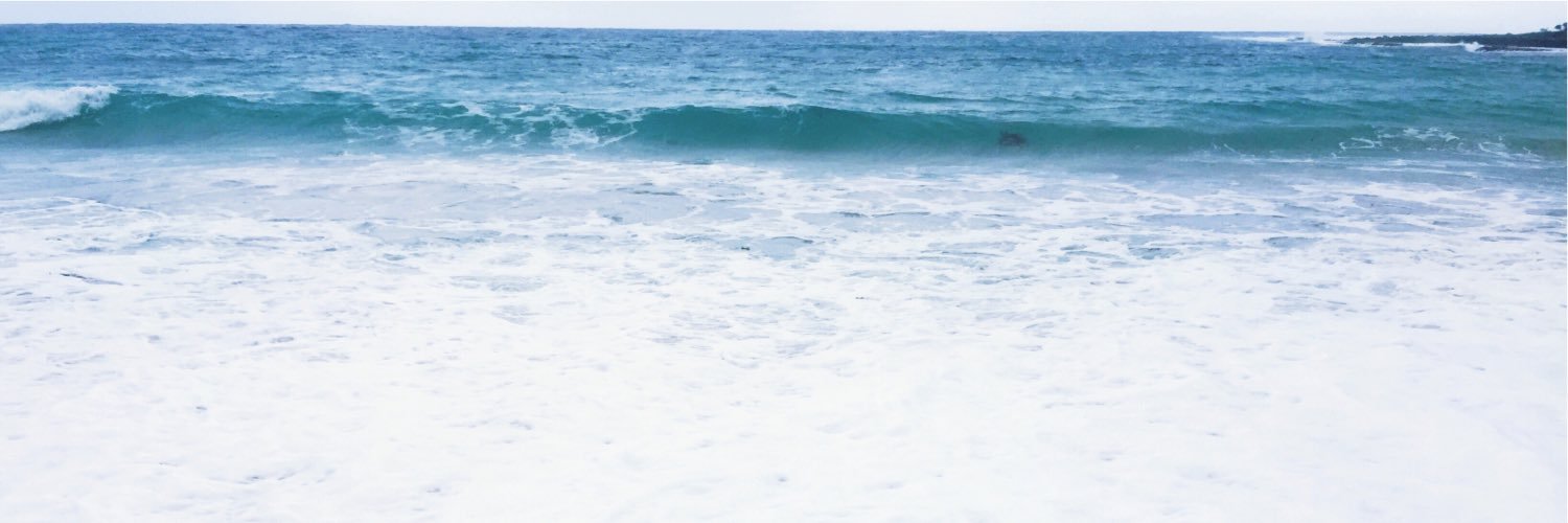 stephkoooo's profile banner image