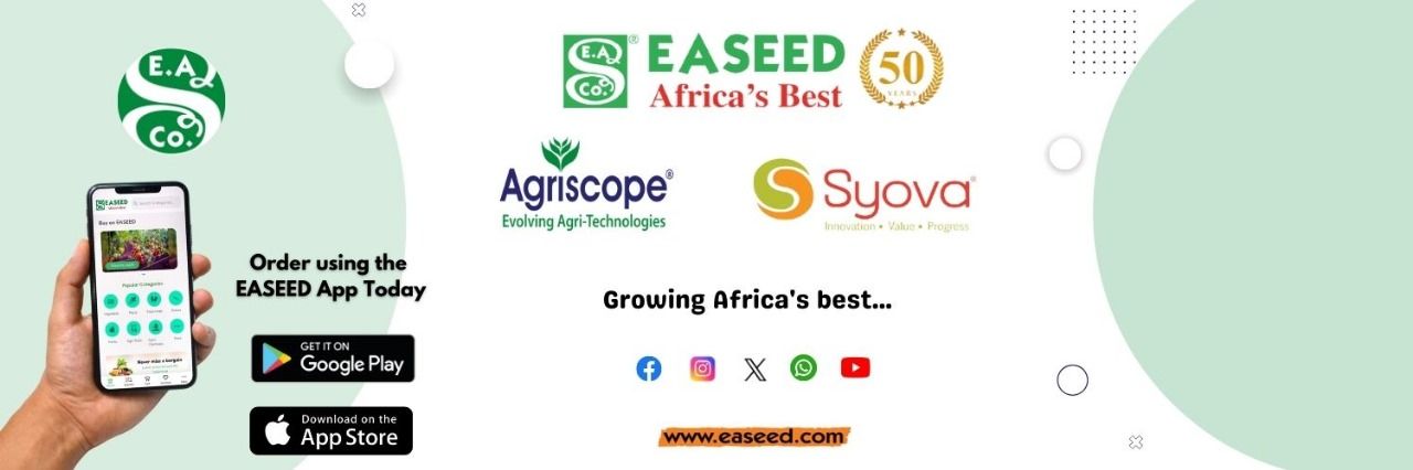easeedco's profile banner image