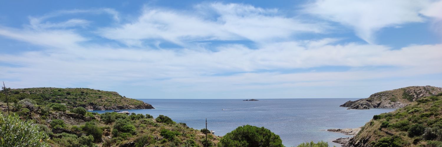 Pol Ballesta Puigbó banner