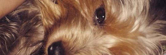 BrunaColpes's profile banner image
