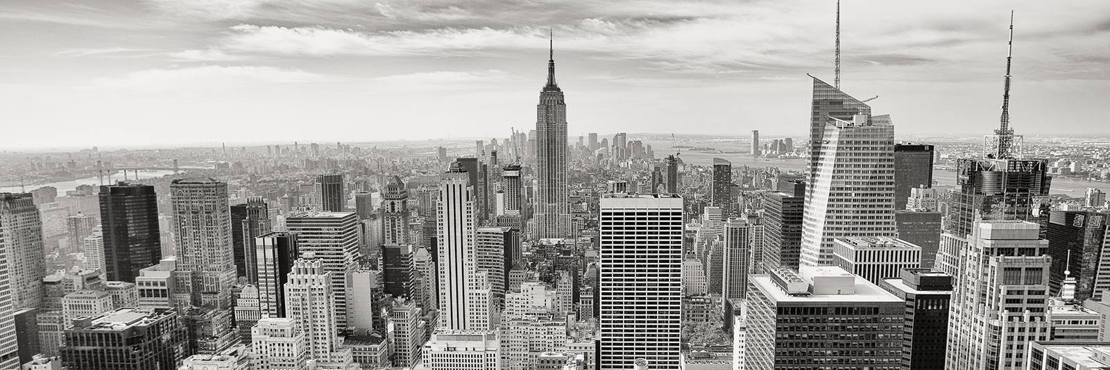 Robby Dee Media banner