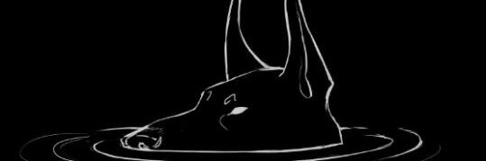 notopotassium's profile banner image