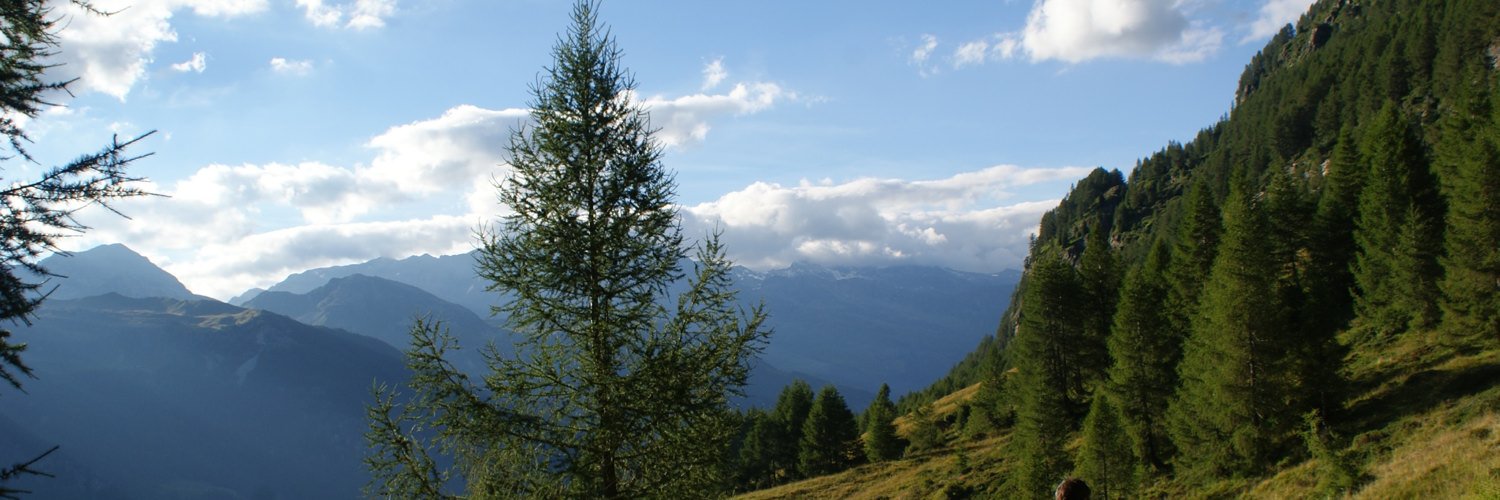 ninamarazza's profile banner image
