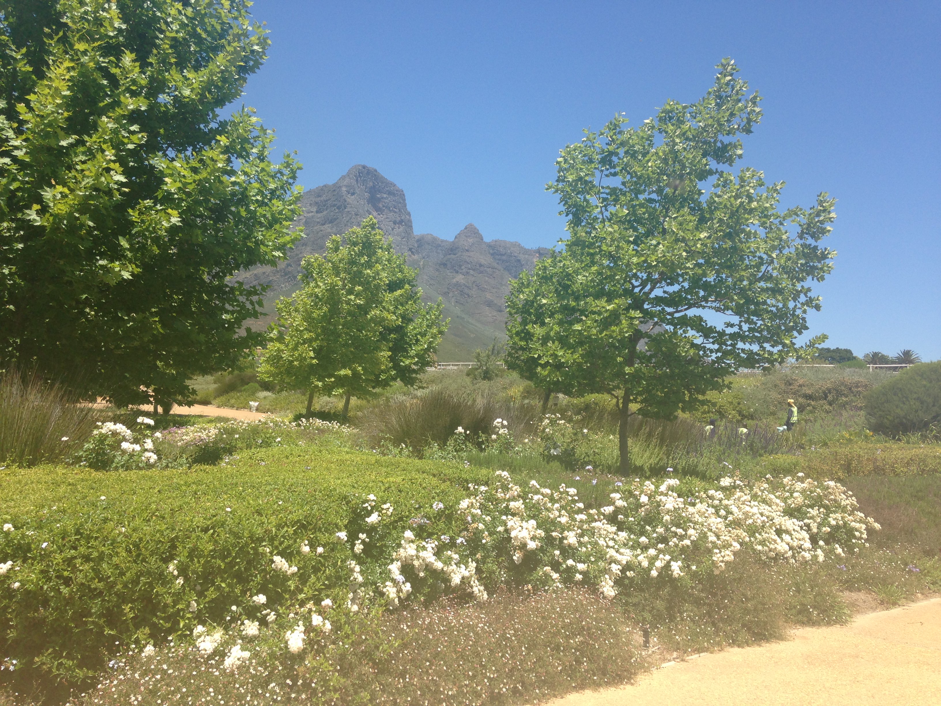 Nadine Arendse's banner