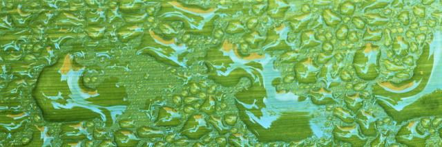 bjpLqtm's profile banner image