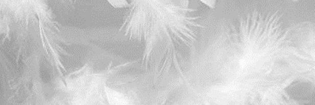 gabefs7's profile banner image
