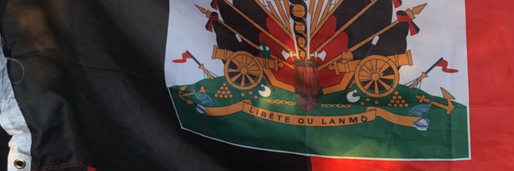 LesDessaliniens🇭🇹 banner