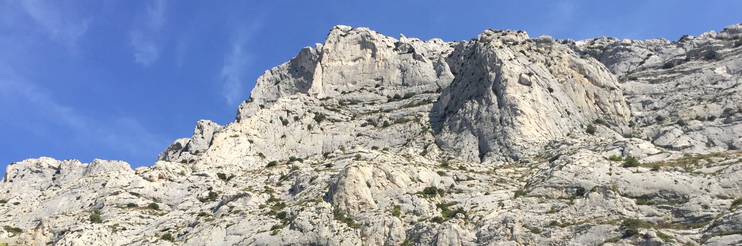 Rémi Barroux banner