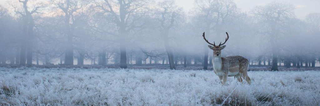 fieldspholondon's profile banner image