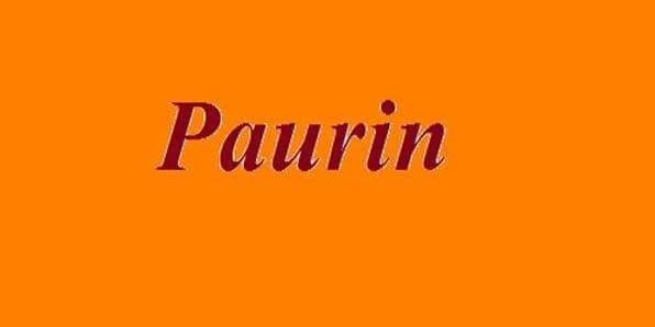 paurin46's profile banner image